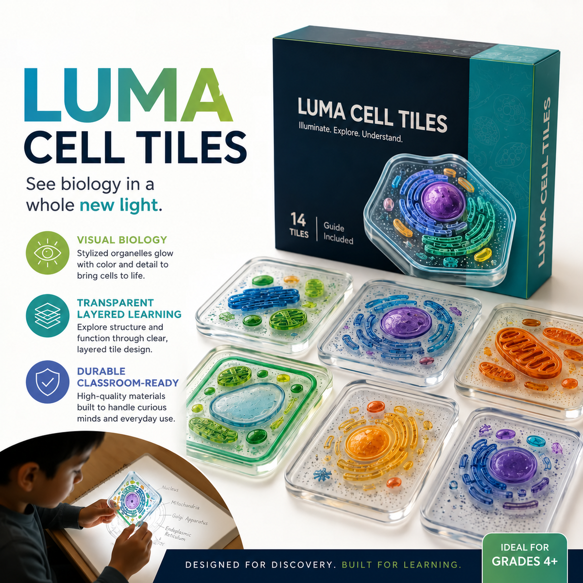 Evertiesp™ Luma Cell Tiles — Illuminated Biology Discovery Set