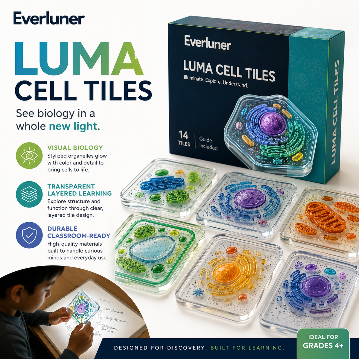 Evertiesp™ Luma Cell Tiles — Illuminated Biology Discovery Set